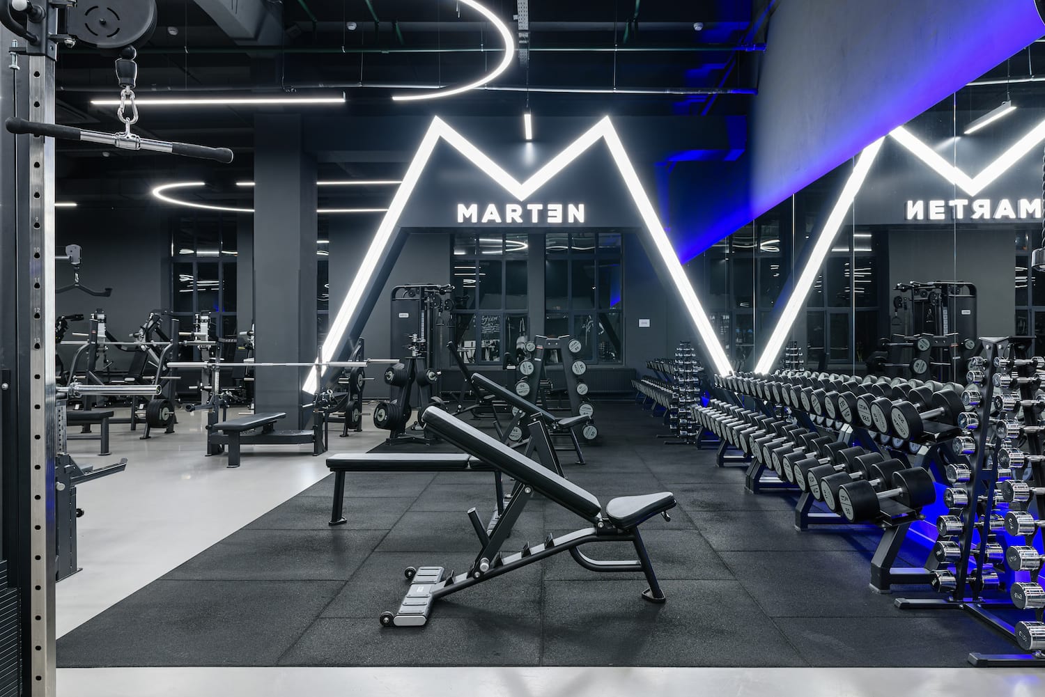 Зона свободных весов